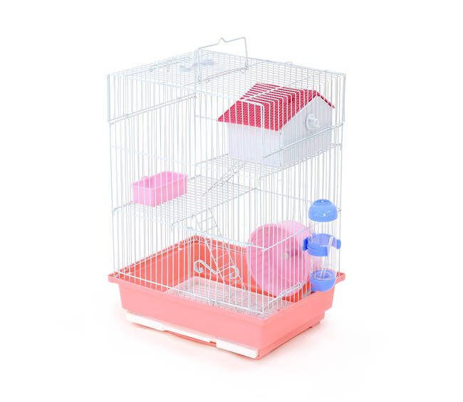 HAMSTERA 2 PISO C/RUEDA/BEBEDE