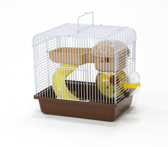 HAMSTERA C/ACCESORIOS 27X21X25CM