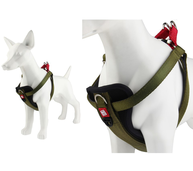 ARNES PREMIUM LINE M GIGWI II