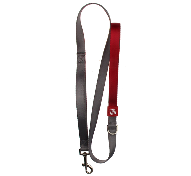 CORREA PREMIUM LINE L GIGWI