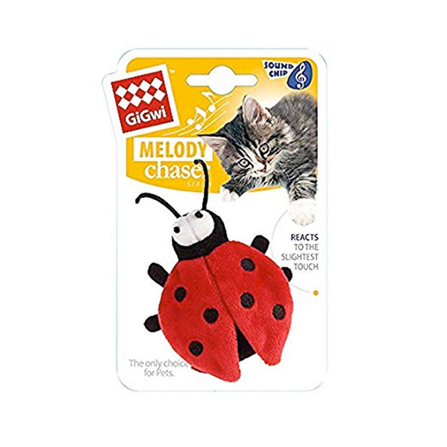 VAQUITA DE SAN ANTONIO MELODY CHASER GIGWI