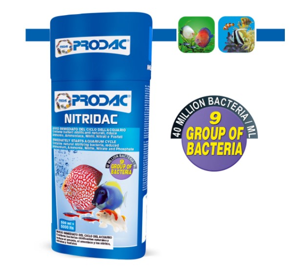 PRODAC NITRIDAC ACTIV. BIOl. 30ml-NIT30