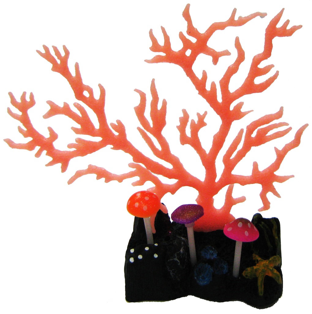 CORAL FLUORESCENTE CON HONGOS EN BASE C/VENT.