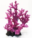 CORAL RESINA 21X14X28
