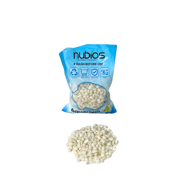 GRAVA BLANCA 1KG