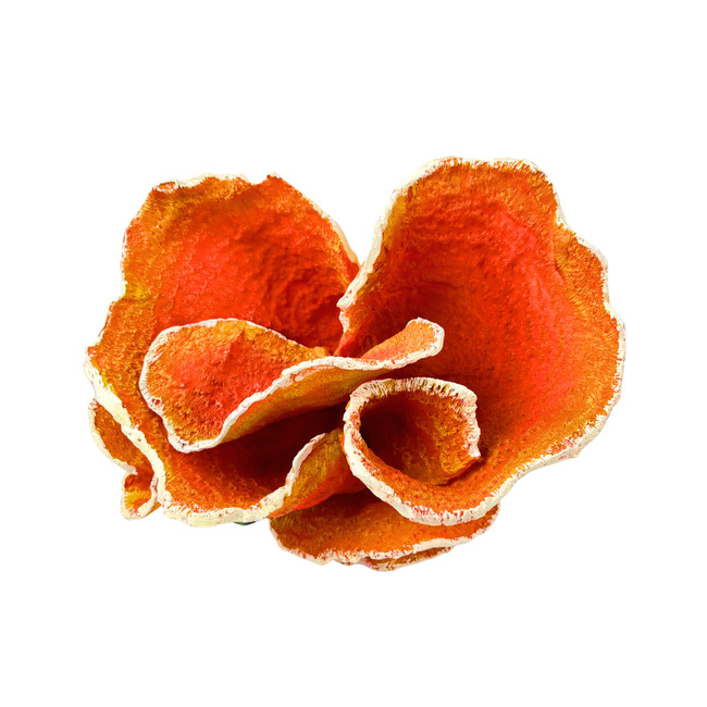 PLANTA CORAL DE RESINA