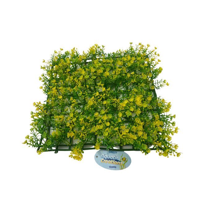 PLANTA DE FONDE PLASTICA 25x25CM