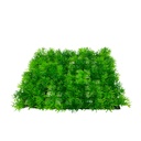 PLANTA DE FONDO PLASTICA 25x25CM