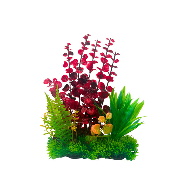 PLANTA PARA ACUARIO 15CMx25CM
