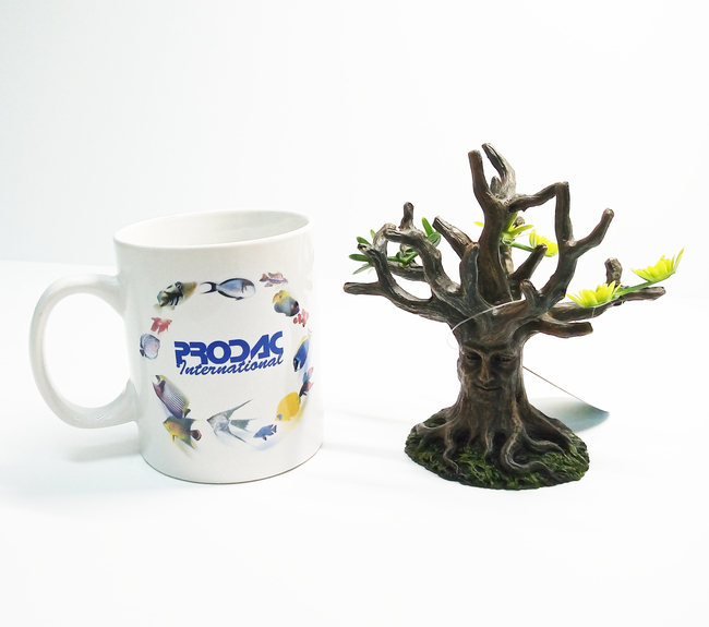 TRONCO MEDIUM 12X9X 2