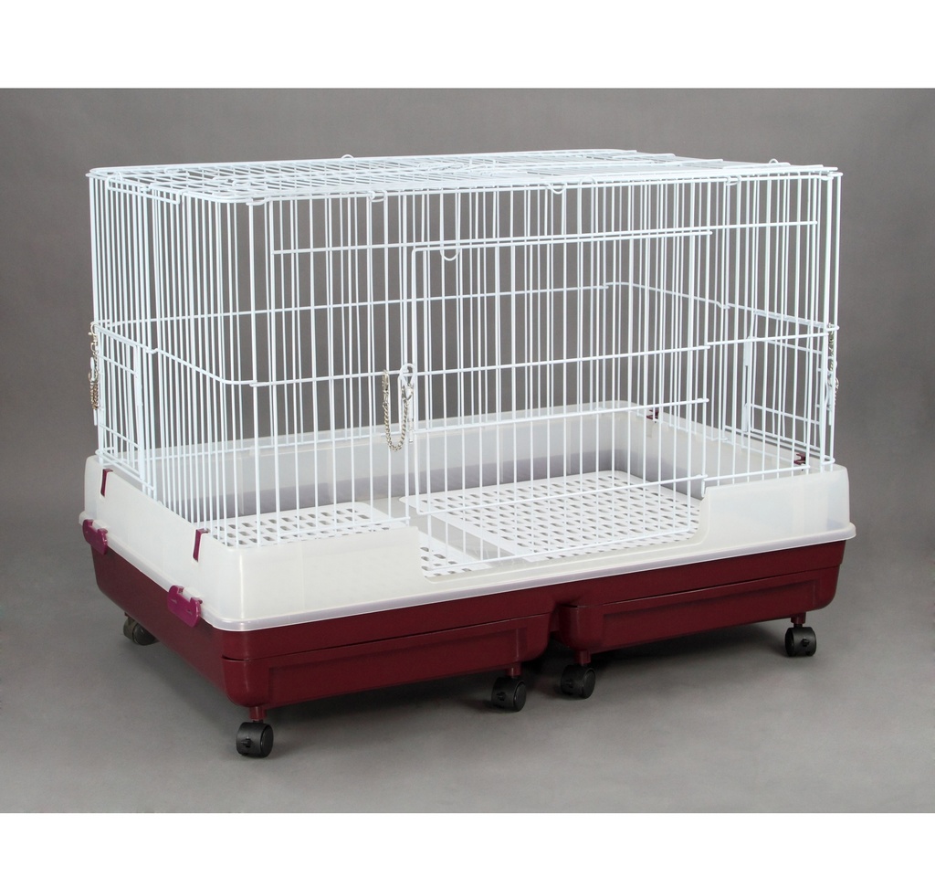 JAULA EXIBIDORA C/RUEDAS Y BASE PLAST 90X60X6