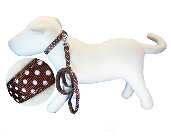 CONJ. CORREA Y COLLAR ESTAMPADO 15mm