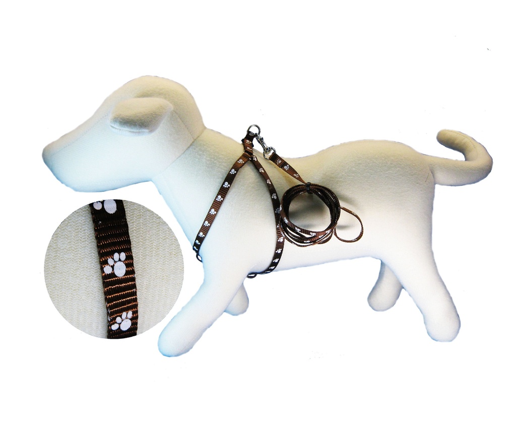 CONJ.CORREA/PRETAL PATITAS 10MM