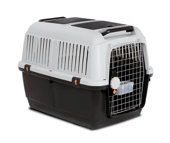 TRANSPORTADORA BRACCO TRAVEL 6 MP BERGAMO