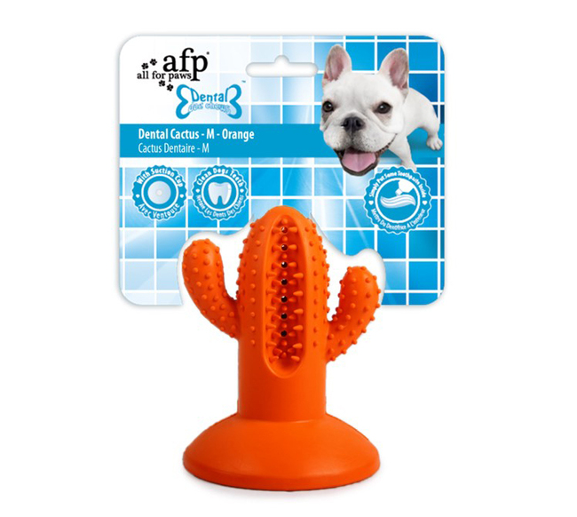 CACTUS MEDIUM RUBBER ORANGE DENTAL CHEWS AFP