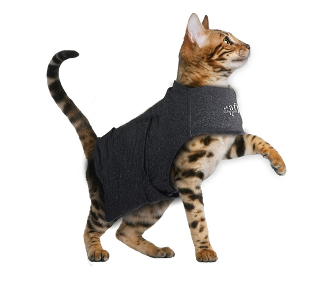 CAT ANTI ANXIETY VEST M CALMING PALS AFP