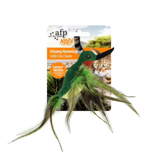 CHIRPING HUMMINGBIRD NATURAL INSTINCT AFP