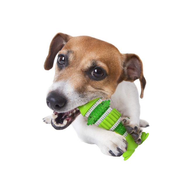 DENTAL FROG DENTAL CHEWS AFP