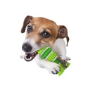 DENTAL FROG DENTAL CHEWS AFP