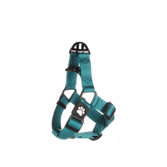 ARNES SETP&GO ZORBA TURQUESA M FLAMINGO