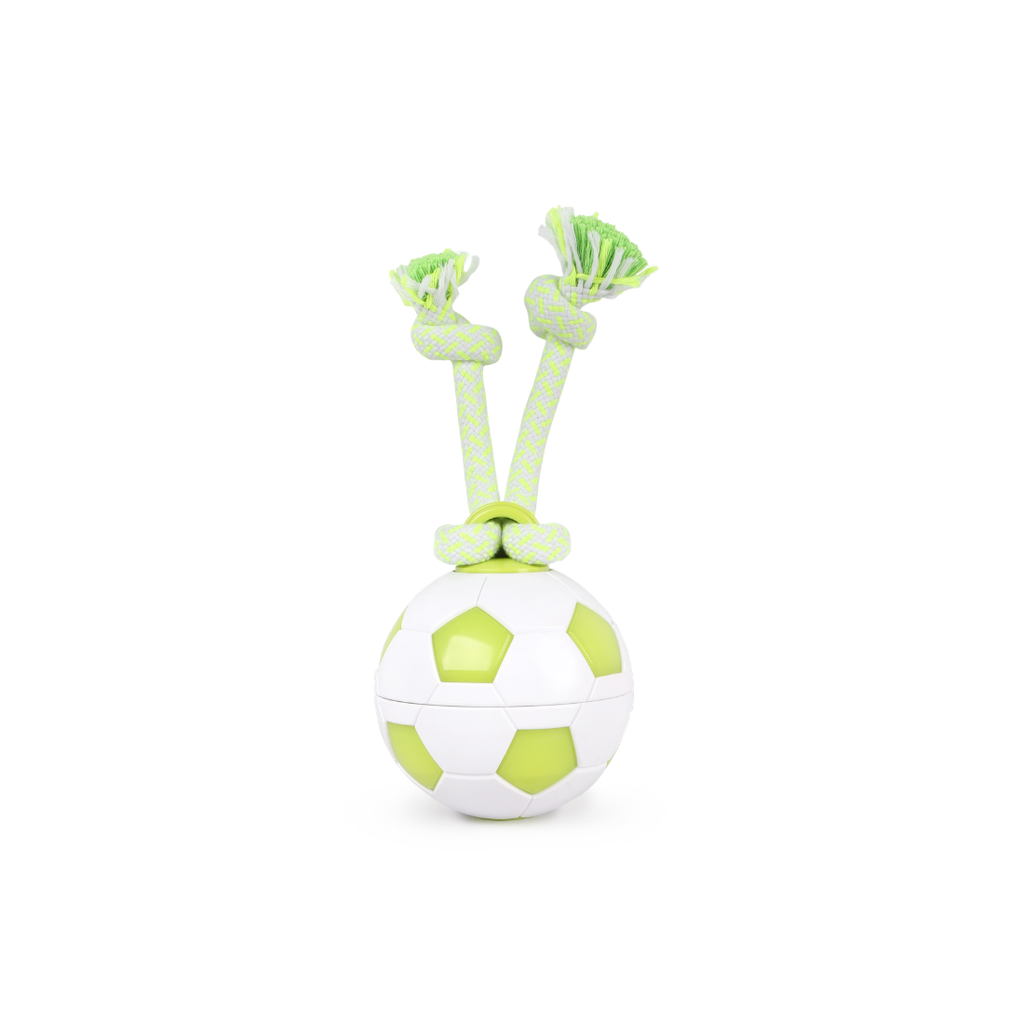 AFP INTERACTIVE-DOG SPINNING SOCCER BALL