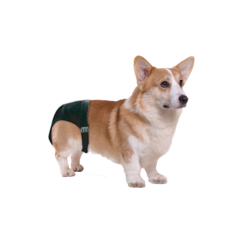 PAWISE DOG PANT 4