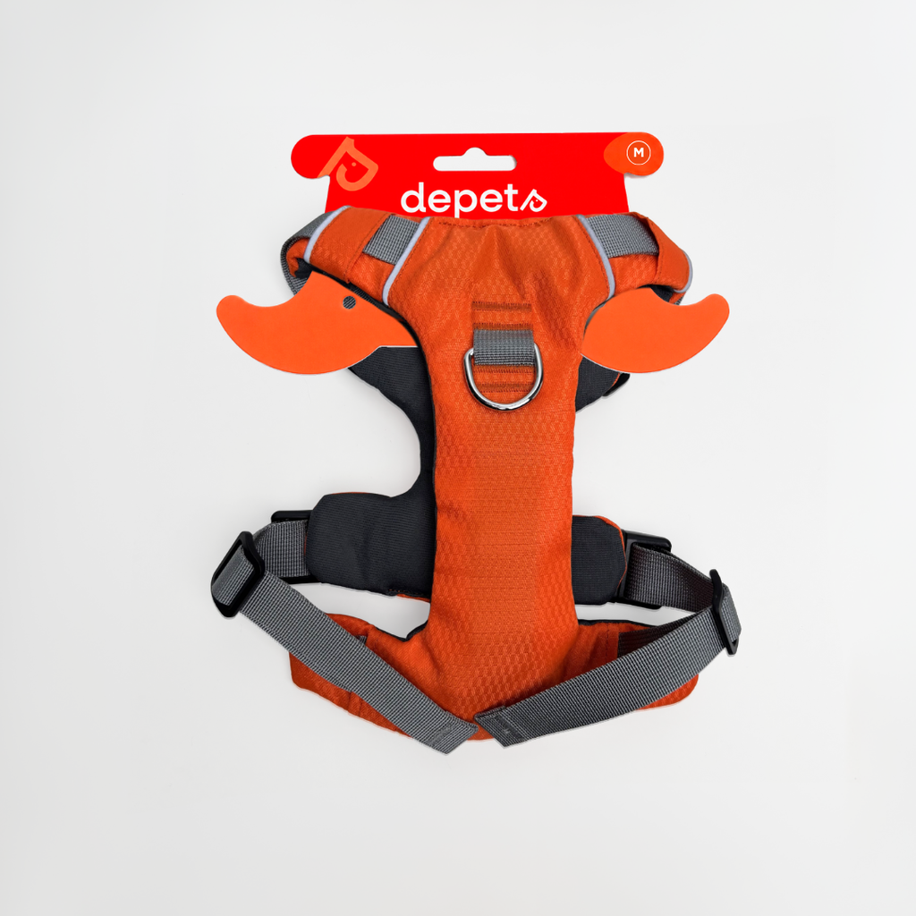 ARNÉS NARANJA NEÓN M DEPETS