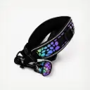 SET REFLECTIVO COLLAR + CORREA REFLECTIVA S DEPETS