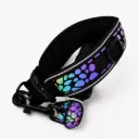 SET REFLECTIVO COLLAR + CORREA REFLECTIVA M DEPETS