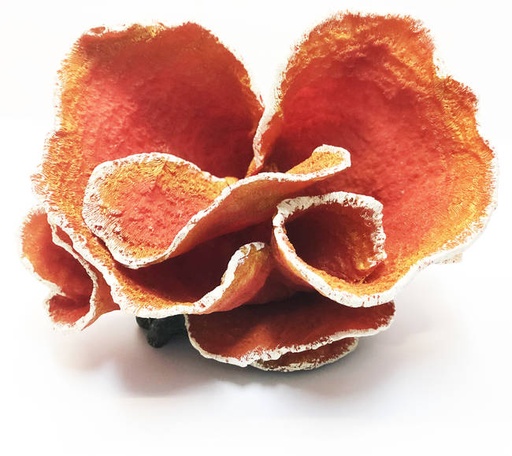 [CH70017] ADORNO RESINA CORAL XXL 32X24X23