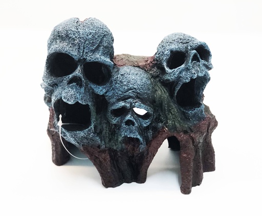 [CH4620] CALAVERAS SOBRE ROCAS 18X11X15