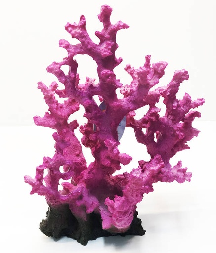 [CH77701] CORAL RESINA 21X14X28