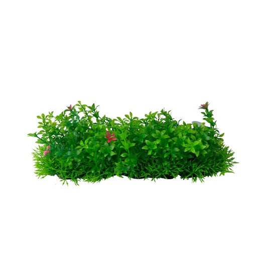 [M939] PLANTA DE FONDO PLASTICA BASE PLASTICA 25x5CM