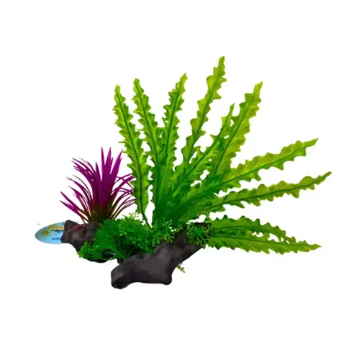 [K703] PLANTA PARA ACUARIO