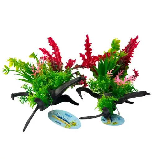 [K416] PLANTA PARA ACUARIO