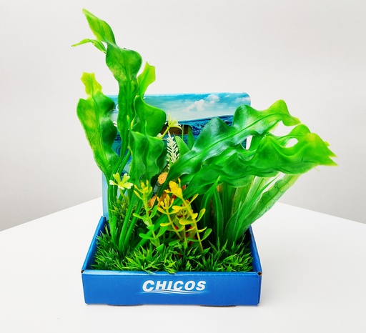[M619] PLANTAS CONJ.SURT 15 CM EN BASE PLÁST.PLC01