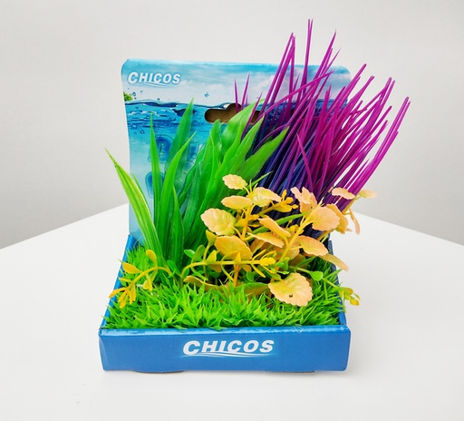 [M623] PLANTAS CONJ.SURT 15 CM EN BASE PLÁSTI-PLC01