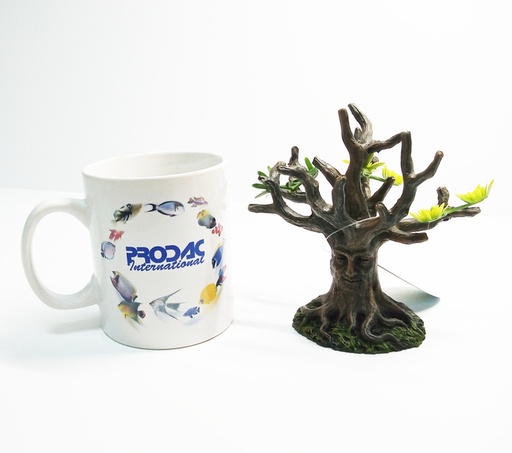 [CH66008P] TRONCO MEDIUM 12X9X 2