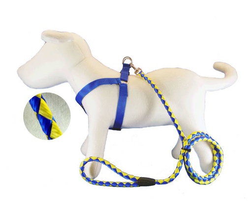 [COAP03] CONJ.CR.ALPINISTA CINTA.TRENZ/PRETAL 20mm