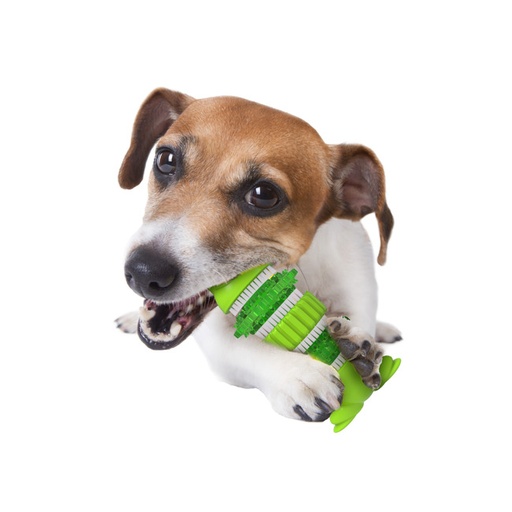 [4186] DENTAL FROG DENTAL CHEWS AFP