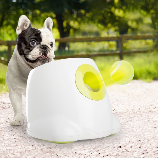 [AFP3196] MINI BALL LAUNCHER INTERACTIVE AFP