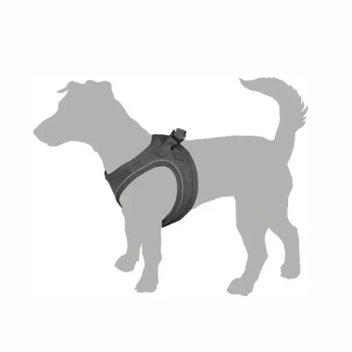 [519207] ARNES SETP&GO BENTO S FLAMINGO