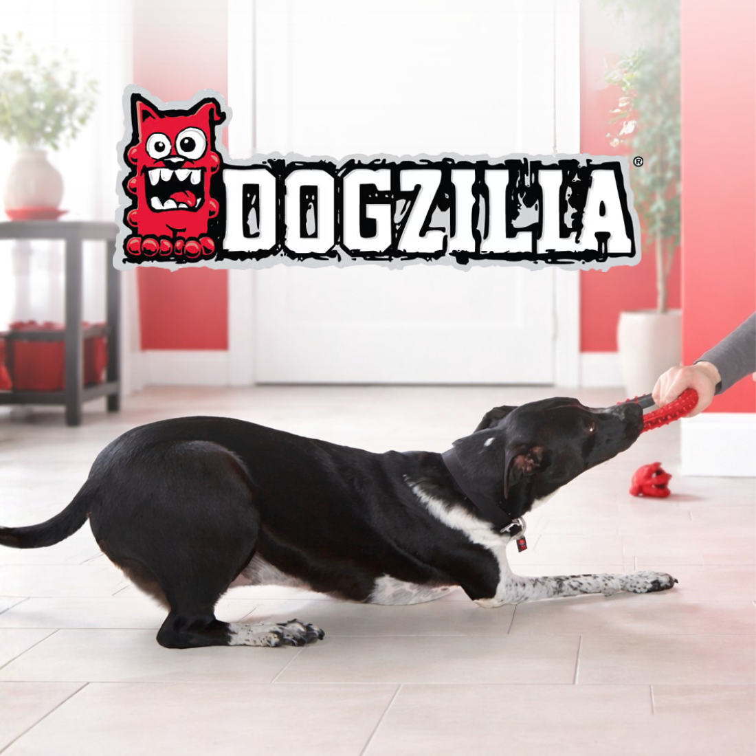 DOGZILLA